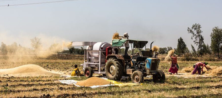 The Impact of Mechanization on Agricultural Productivity in Zimbabwe