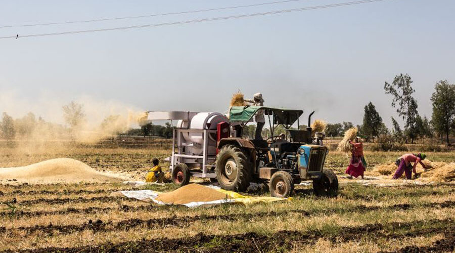 The Impact of Mechanization on Agricultural Productivity in Zimbabwe